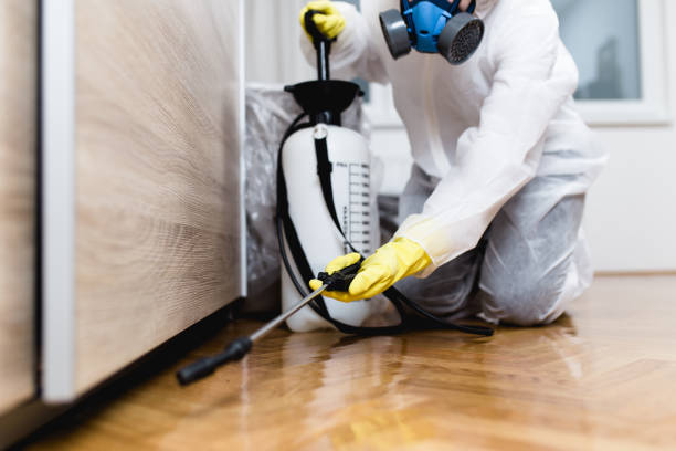 Best Local Pest Control Services  in Wolfdale, PA