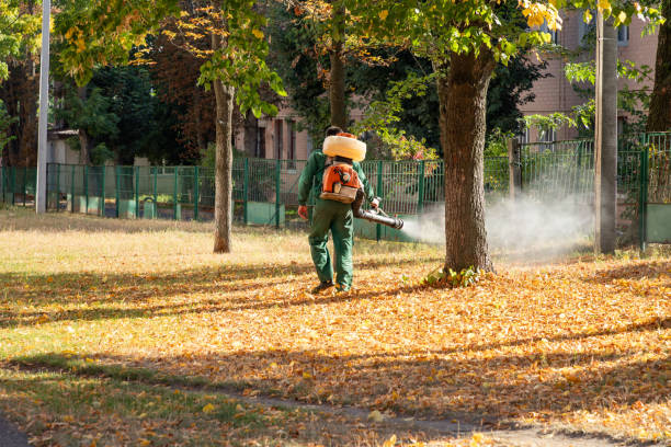 Best Pest Control Near Me in Wolfdale, PA