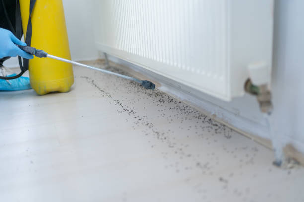 Best Pest Prevention Services  in Wolfdale, PA