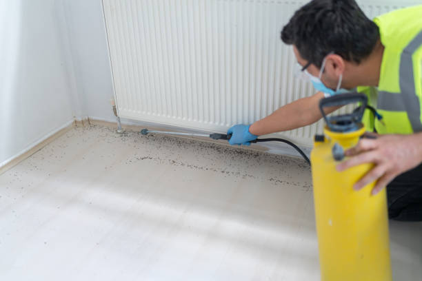 Best Pest Removal Services  in Wolfdale, PA