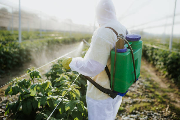 Best Pest Control Near Me  in Wolfdale, PA